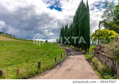 forests and mountains in the beautiful Colombian nature 98447667