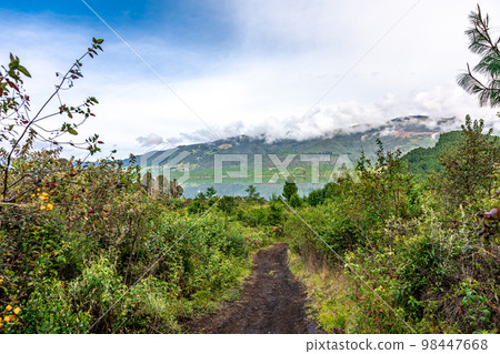 forests and mountains in the beautiful Colombian nature 98447668