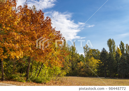 tree colors tree colors 98448772