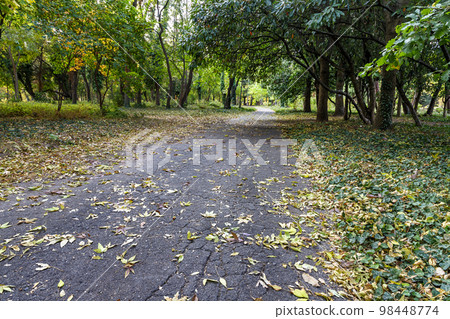 Autumn landscape Autumn landscape 98448774