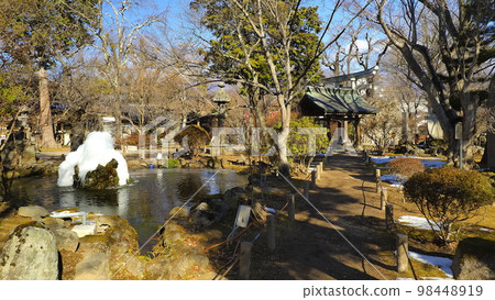 小諸城址懷古園 6 98448919