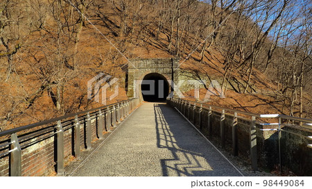 臼井三橋(梅金橋)水平隧道2 臼井三橋(梅金橋)水平隧道2 98449084