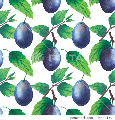 Pattern of watercolor plum tree branches with green leaves and fruits Pattern of watercolor plum tree branches with green leaves and fruits 98449139
