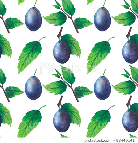 Pattern of watercolor plum tree branches with green leaves and fruits Pattern of watercolor plum tree branches with green leaves and fruits 98449141