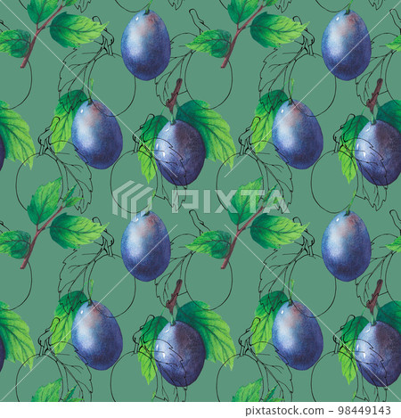 Pattern of watercolor plum tree branches with green leaves and fruits Pattern of watercolor plum tree branches with green leaves and fruits 98449143