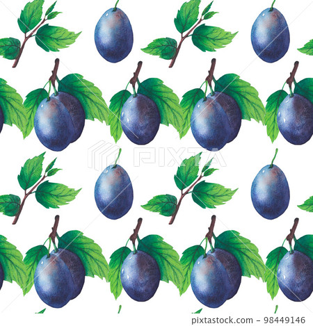 Pattern of watercolor plum tree branches with green leaves and fruits Pattern of watercolor plum tree branches with green leaves and fruits 98449146