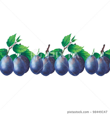 Border of watercolor plum tree branches with green leaves and fruits Border of watercolor plum tree branches with green leaves and fruits 98449147