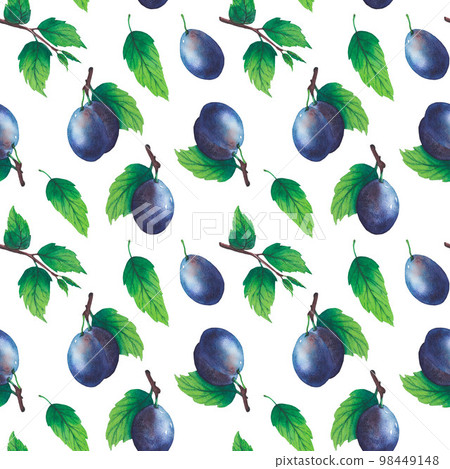 Pattern of watercolor plum tree branches with green leaves and fruits Pattern of watercolor plum tree branches with green leaves and fruits 98449148