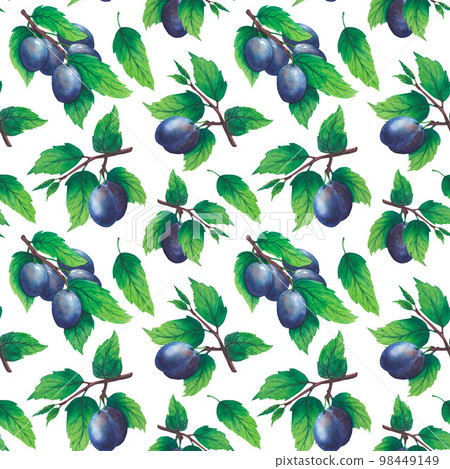 Pattern of watercolor plum tree branches with green leaves and fruits Pattern of watercolor plum tree branches with green leaves and fruits 98449149