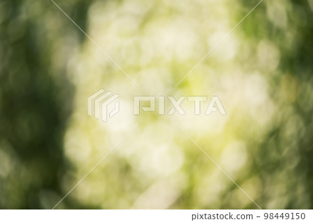 Defocused green abstract background. Defocus light raindrops on green leaves. Defocused green abstract background. Defocus light raindrops on green leaves. 98449150