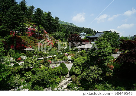 Landscape of the Garden of Morning Calm Landscape of the Garden of Morning Calm 98449545