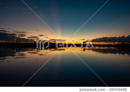 Twilight sun rays over Pine Glades Lake in Everglades National Park. 98450498