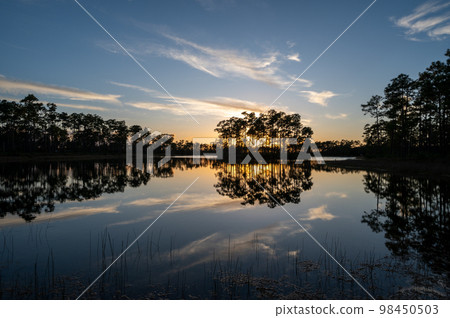 Sunset cloudscape over Long Pine Key in Everglades National Park, Florida. 98450503