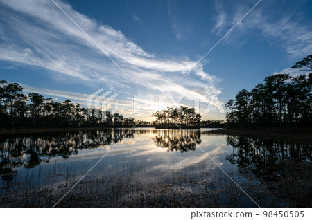 Sunset cloudscape over Long Pine Key in Everglades National Park, Florida. Sunset cloudscape over Long Pine Key in Everglades National Park, Florida. 98450505