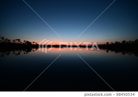 Colorful twilight over Pine Glades Lake in Everglades National Park, 98450534