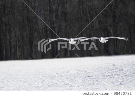 日本起重機輪到了 日本起重機輪到了 98450781