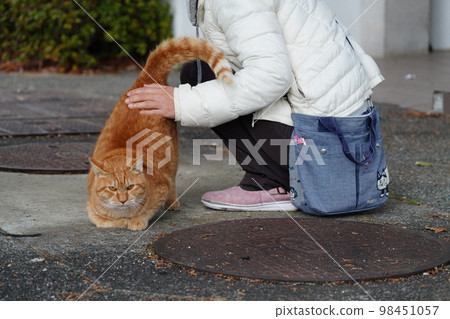 當地一家貓吃得滿足咯咯叫 98451057