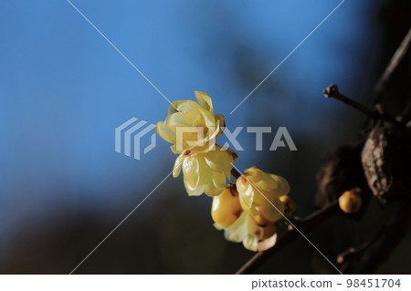 慌張 慌張 98451704