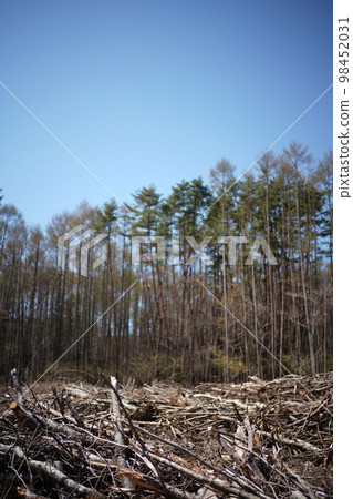 Forest logging development villa 98452031