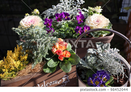 插花與插花 插花與插花 98452044