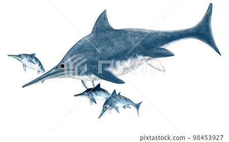 Stenopterygius dolphin-shaped ichthyosaur white background 98453927