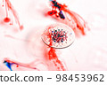 Blood cell smear under microscope for vaccine research, Bacterias and micro organisms 98453962