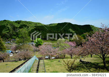 Yasuraginosato Park 2022-4-23 #53 98454221