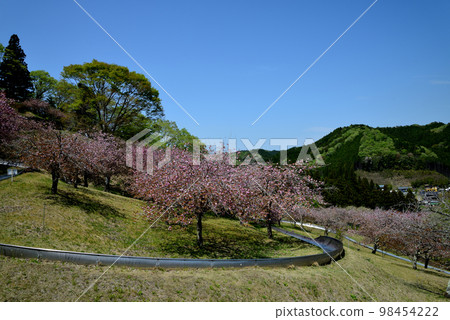 Yasuraginosato Park 2022-4-23 #54 98454222