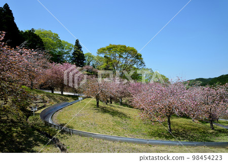 安之之裡公園 2022-4-23 #55 安之之裡公園 2022-4-23 #55 98454223