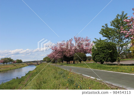 Road Station Haga 98454313