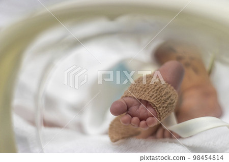 由於早產，嬰兒的腳在保溫箱中（新生兒，日本，男孩） 98454814