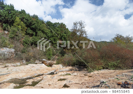 View of Kziv Stream at the end of the Black marked trail, Montfort Nahal Kziv National park, Western Galilee, Northern District of Israel, Israel. 98455845