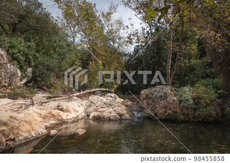 View of Kziv Stream at the end of the Black marked trail, Montfort Nahal Kziv National park, Western Galilee, Northern District of Israel, Israel. 98455858