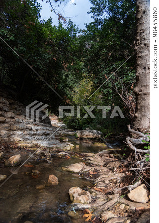 View of Kziv Stream at the end of the Black marked trail, Montfort Nahal Kziv National park, Western Galilee, Northern District of Israel, Israel. 98455860