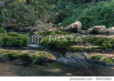 View of Kziv Stream at the end of the Black marked trail, Montfort Nahal Kziv National park, Western Galilee, Northern District of Israel, Israel. 98455869