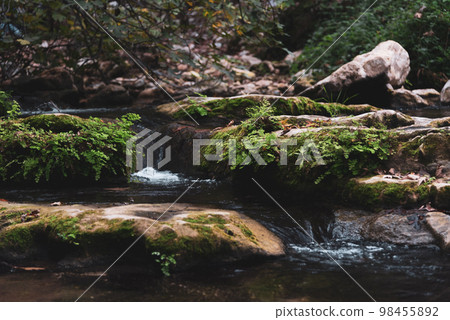 View of Kziv Stream at the end of the Black marked trail, Montfort Nahal Kziv National park, Western Galilee, Northern District of Israel, Israel. 98455892
