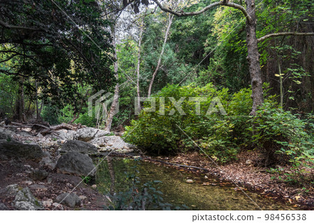 View of Kziv Stream at the end of the Black marked trail, Montfort Nahal Kziv National park, Ein Tamir, Ein Hardalit Western Galilee, Northern District of Israel, Israel. 98456538