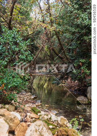 View of Kziv Stream at the end of the Black marked trail, Montfort Nahal Kziv National park, Ein Tamir, Ein Hardalit Western Galilee, Northern District of Israel, Israel. View of Kziv Stream at the end of the Black marked trail, Montfort Nahal Kziv National park, Ein Tamir, Ein Hardalit Western Galilee, Northern District of Israel, Israel. 98456589