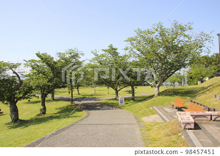 濱名湖服務區/靜岡縣濱松市北區三日備町佐久目 98457451