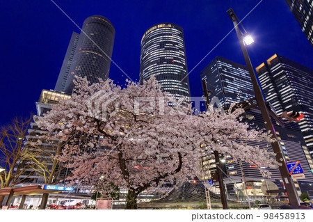 名古屋站前盛開的名古屋市櫻花 名古屋站前盛開的名古屋市櫻花 98458913