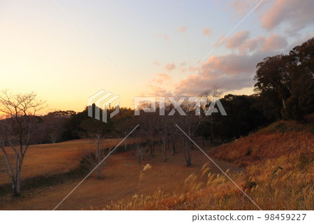 Sunset park Sunset park 98459227