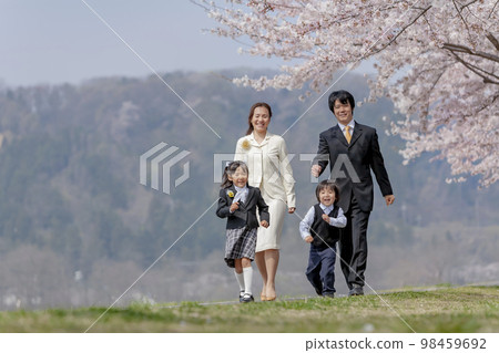 Parents and children entering kindergarten walking along the cherry blossom promenade 98459692
