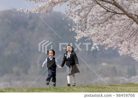 Brothers and sisters entering kindergarten walking along the cherry blossom promenade 98459708