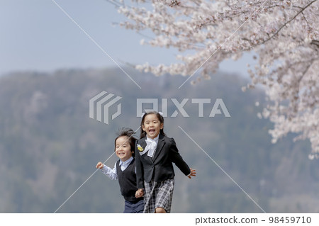 Brothers and sisters entering kindergarten walking along the cherry blossom promenade 98459710