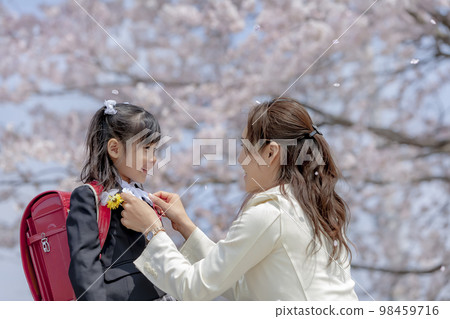 A daughter and her mother conversing on the promenade with cherry blossoms 98459716