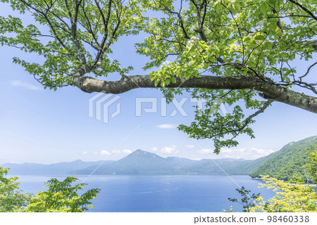 Lake Shikotsu, mountain cherry blossoms blooming at Kyukamura Observatory Chitose City Lake Shikotsu, mountain cherry blossoms blooming at Kyukamura Observatory Chitose City 98460338