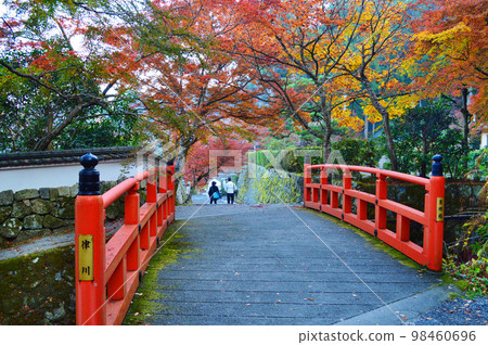 Autumn leaves of Ohara-no-Sato Sueake Bridge in Sakyo Ward, Kyoto City 98460696