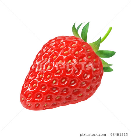 strawberry strawberry illustration real strawberry strawberry illustration real 98461315