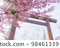 櫻花盛開的靖國神社 98461339