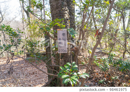 海洛多姆山頂(東京都秋川丘陵自然公園) 海洛多姆山頂(東京都秋川丘陵自然公園) 98461975